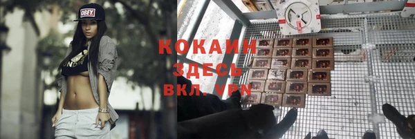 гашик Богородск