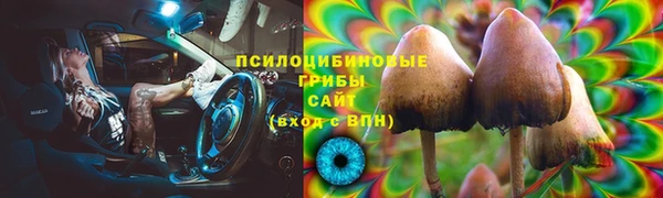 гашик Богородск
