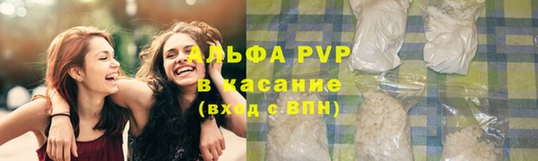 сатива Богородицк