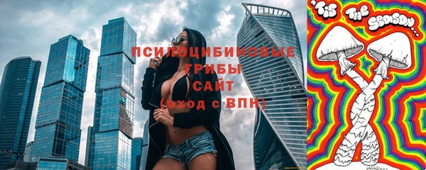 гашик Богородск