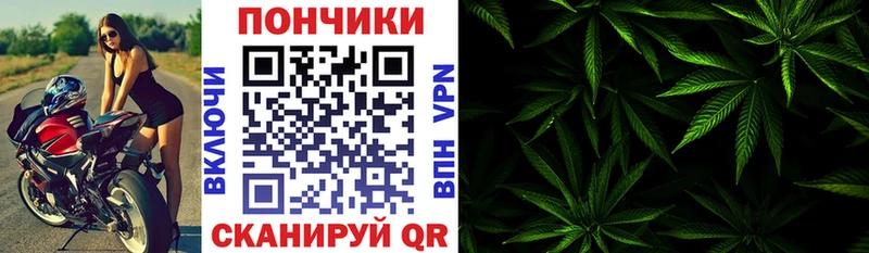 где найти   Грозный  Конопля MAZAR 